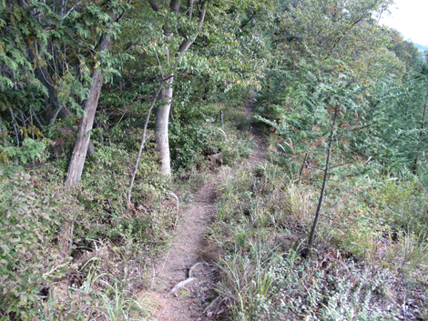 20161104hike (192)